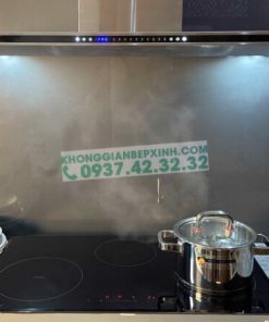 Bếp Từ Eurosun EU-T881G