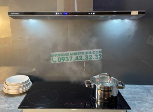 Bếp Từ Eurosun EU-T881G
