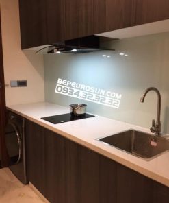 Bếp Từ Domino Eurosun EU-T506DO