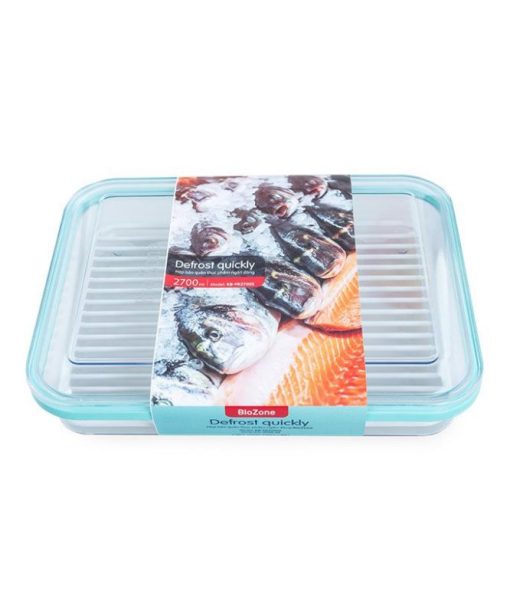 Hộp bảo quản thực phẩm ngăn đông BioZone 2700ml - 1
