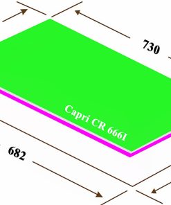 BẾP TỪ ĐÔI CAPRI CR-666I