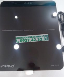 BẾP TỪ ĐƠN EUROSUN EU-T197