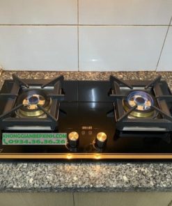 Bếp gas Eurosun EU-GA291D