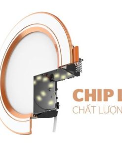 Downlight viền vàng 3 màu Sunhouse SHE-DL02-3/7w-VV - 15