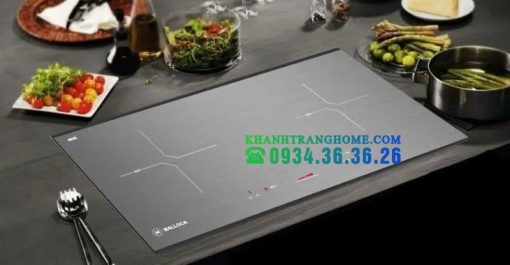 BẾP TỪ 2 VÙNG NẤU MALLOCA MH-02IS