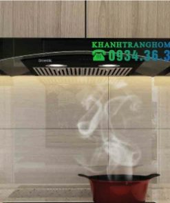 MÁY HÚT MÙI DMESTIK TL4160 DMK - 5 MÁY HÚT MÙI DMESTIK TL4160 DMK