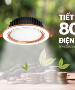 Downlight viền vàng 1 màu Sunhouse SHE-DL02-1/9w-VV - 18 Downlight viền vàng 1 màu Sunhouse SHE-DL02-1/9w-VV - 17