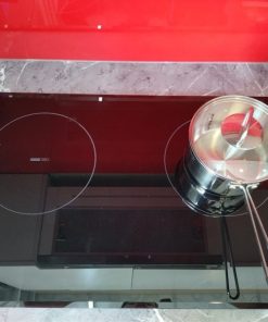 Bếp Điện Từ Eurosun EU-TE259 MAX