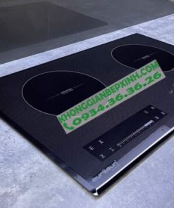 Bếp Từ Eurosun EU-T210 MAX