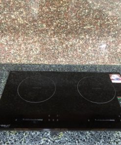 Bếp Từ Eurosun EU-T508 MAX