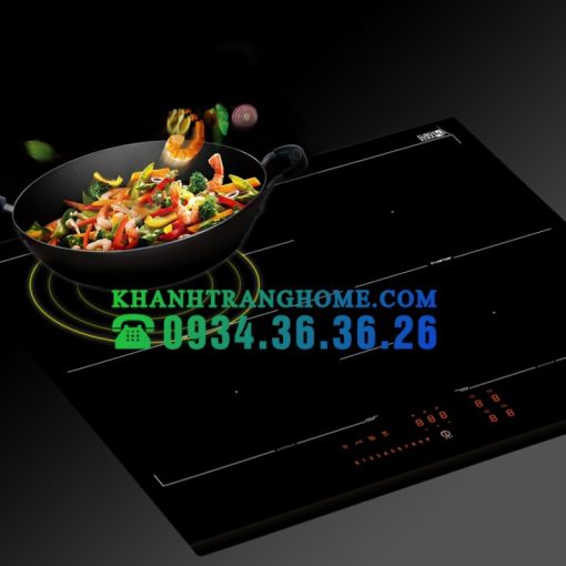 Bếp từ Kocher DI-866GE
