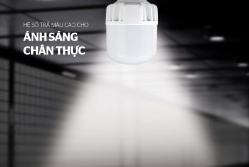 Đèn LED bulb nhôm đúc Apex APE-BND20W - 7