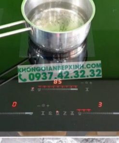 BẾP ĐIỆN TỪ EUROSUN EU-TE388MAX