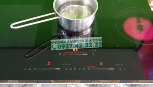 BẾP ĐIỆN TỪ EUROSUN EU-TE388MAX