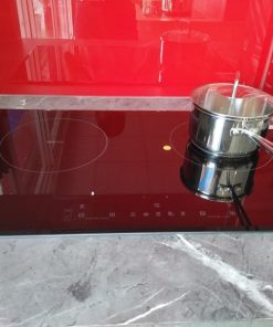 Bếp Điện Từ Eurosun EU-TE259 MAX