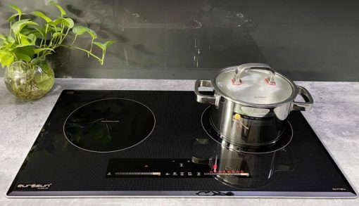 Bếp Từ Eurosun EU-T710 PRO Gold