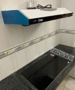 Bếp Từ Eurosun EU-T881G