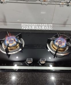 Bếp gas âm Eurosun EU-GA205S