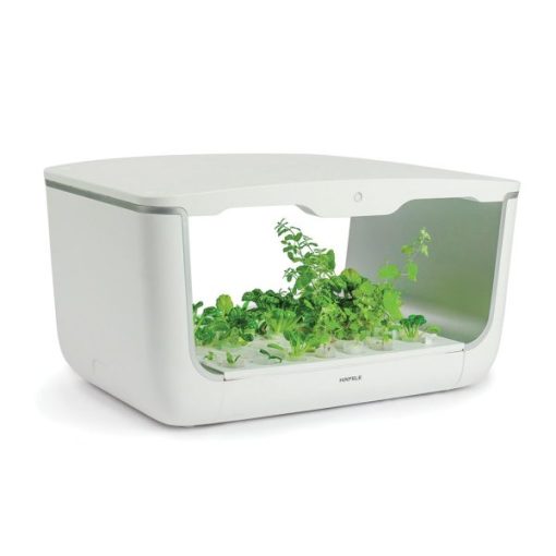Hộp trồng cây EasyGrow Home Box (H-box) 539.76.990 - 1