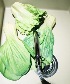 VÒI RỬA CHÉN HAFELE HF-GM401 (ZD) 569.15.401- 14 VÒI RỬA CHÉN HAFELE HF-GM401 (ZD) 569.15.401- 13