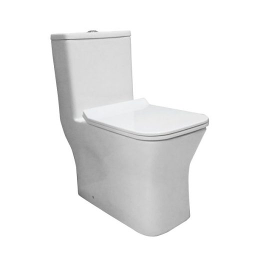 Bồn Cầu Một Khối Hafele Regal 588.82.403 - 1