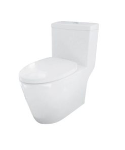 Bồn Cầu Một Khối Hafele Iconic 588.79.402 - 9