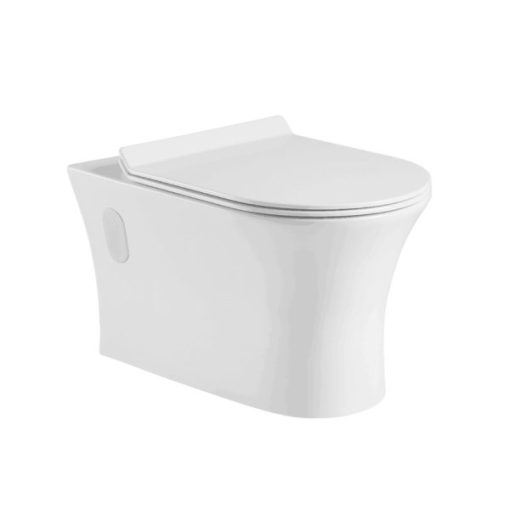 Bồn Cầu Treo Tường Hafele Regal 588.60.452 - 1
