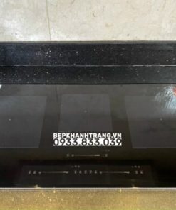 BẾP ĐIỆN TỪ EUROSUN EU-TE388MAX