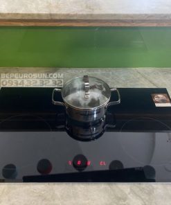 Bếp Từ Eurosun EU-T881G