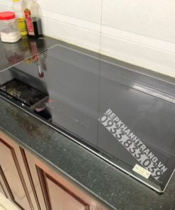 Bếp Từ Eurosun EU-T899G