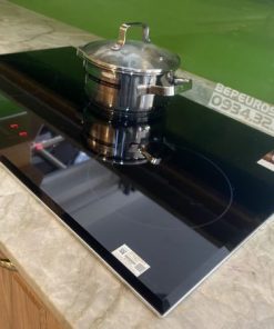 Bếp Từ Eurosun EU-T881G