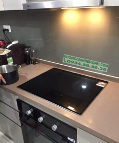 Bếp Từ Eurosun EU-T905G