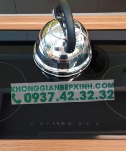 Bếp Từ Eurosun EU-T881G