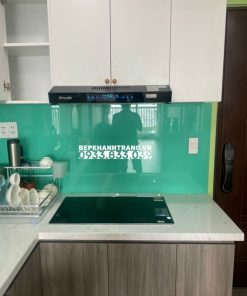 MÁY HÚT MÙI DMESTIK TL4870 DMK