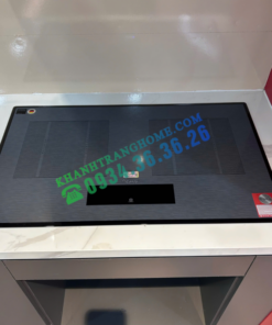 BẾP TỪ CANZY CZ 9928P