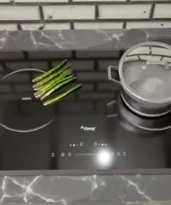 Bếp Từ Canzy CZ TL67A - 10 Bếp Từ Canzy CZ TL67A