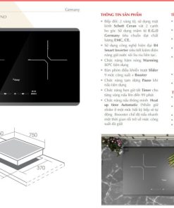 Bếp từ Canzy CZ 9898DP
