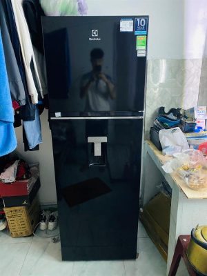 Tủ Lạnh Electrolux Inverter 341 Lít ETB3740K-H - 45