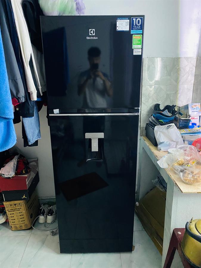Tủ Lạnh Electrolux Inverter 341 Lít ETB3740K-H
