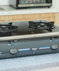 Bếp Gas Rinnai RV-4600(GL-T)N - 17