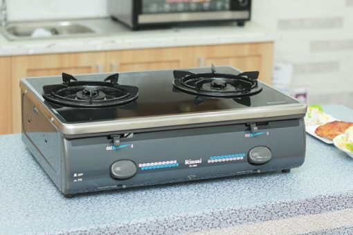 Bếp Gas Rinnai RV-4600(GL-T)N - 9