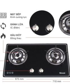 Bếp Gas Âm Rinnai RVB-2BG(B)N - 7