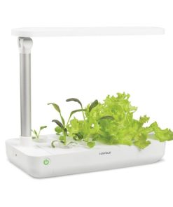 Hộp trồng cây EasyGrow Table Box (T-Box) 539.76.980