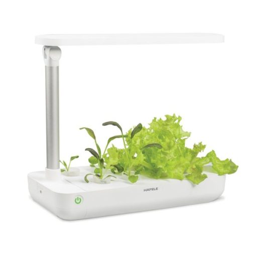 Hộp trồng cây EasyGrow Table Box (T-Box) 539.76.980 - 1