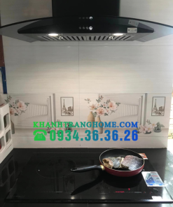 Bếp Từ Eurosun EU-T256 MAX