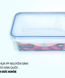 Bộ 4 hộp bảo quản thực phẩm Biozone tặng dao KB-CO4P04E - 37