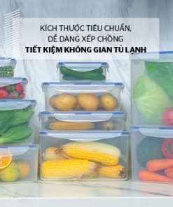 Bộ 4 hộp bảo quản thực phẩm Biozone tặng dao KB-CO4P04E - 31