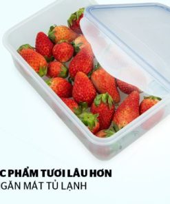 Bộ 4 hộp bảo quản thực phẩm Biozone tặng dao KB-CO4P04E - 35
