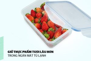 Bộ 4 hộp bảo quản thực phẩm Biozone tặng dao KB-CO4P04E - 35