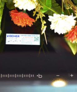 Bếp điện từ Kocher EI-737S - 27